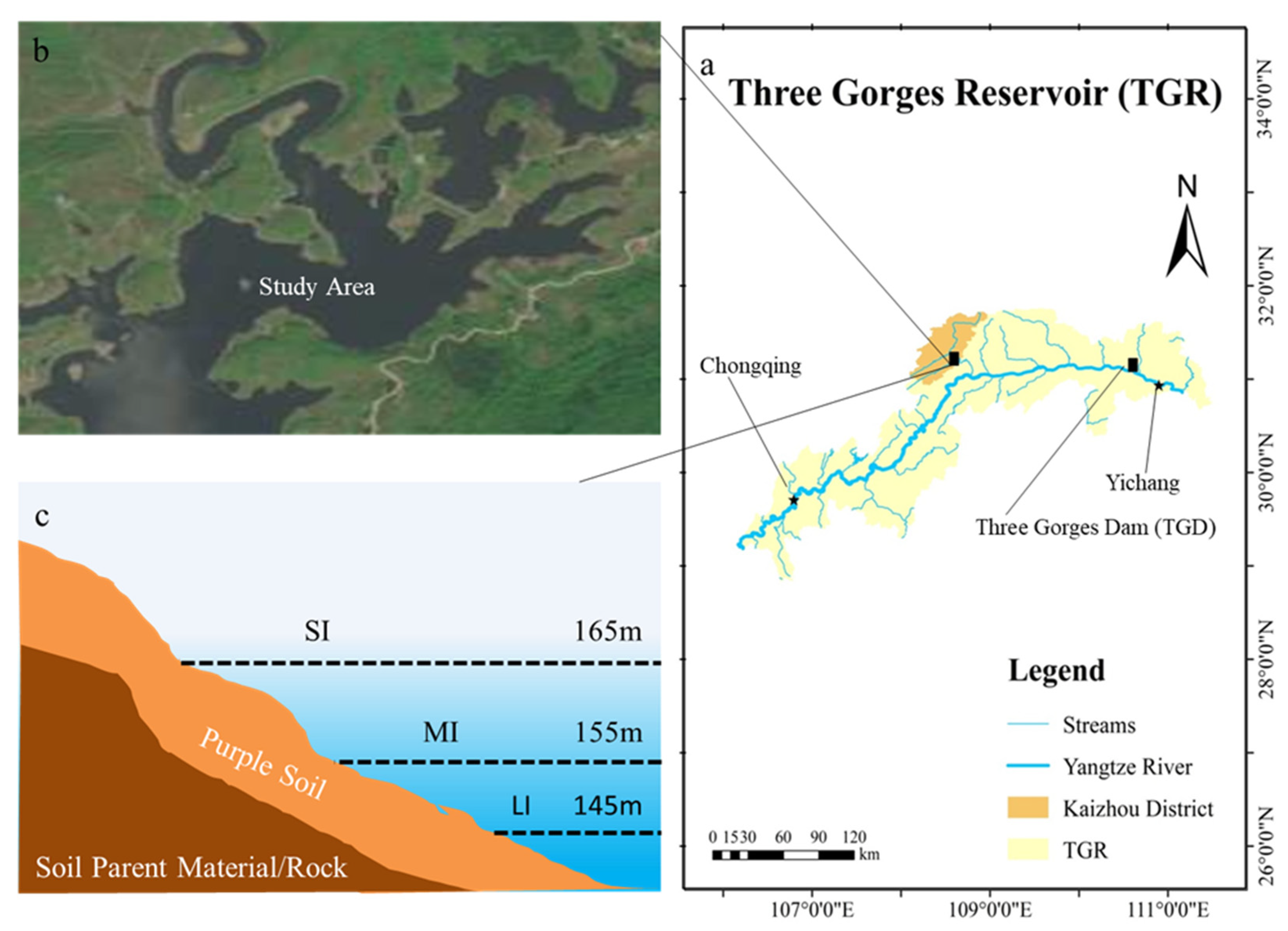特価品セ of Effects Water-Level and Aggregates Soil on Fluctuation 麻雀