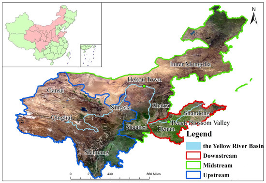 Spatio-Temporal Dynamics of Economic Density and Vegetation