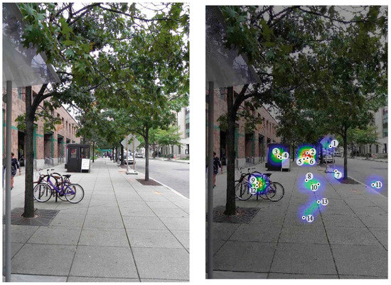 Visual Preferences Eye-Tracking and Visual Preference: Maybe Beauty Is in the Eye of the ...