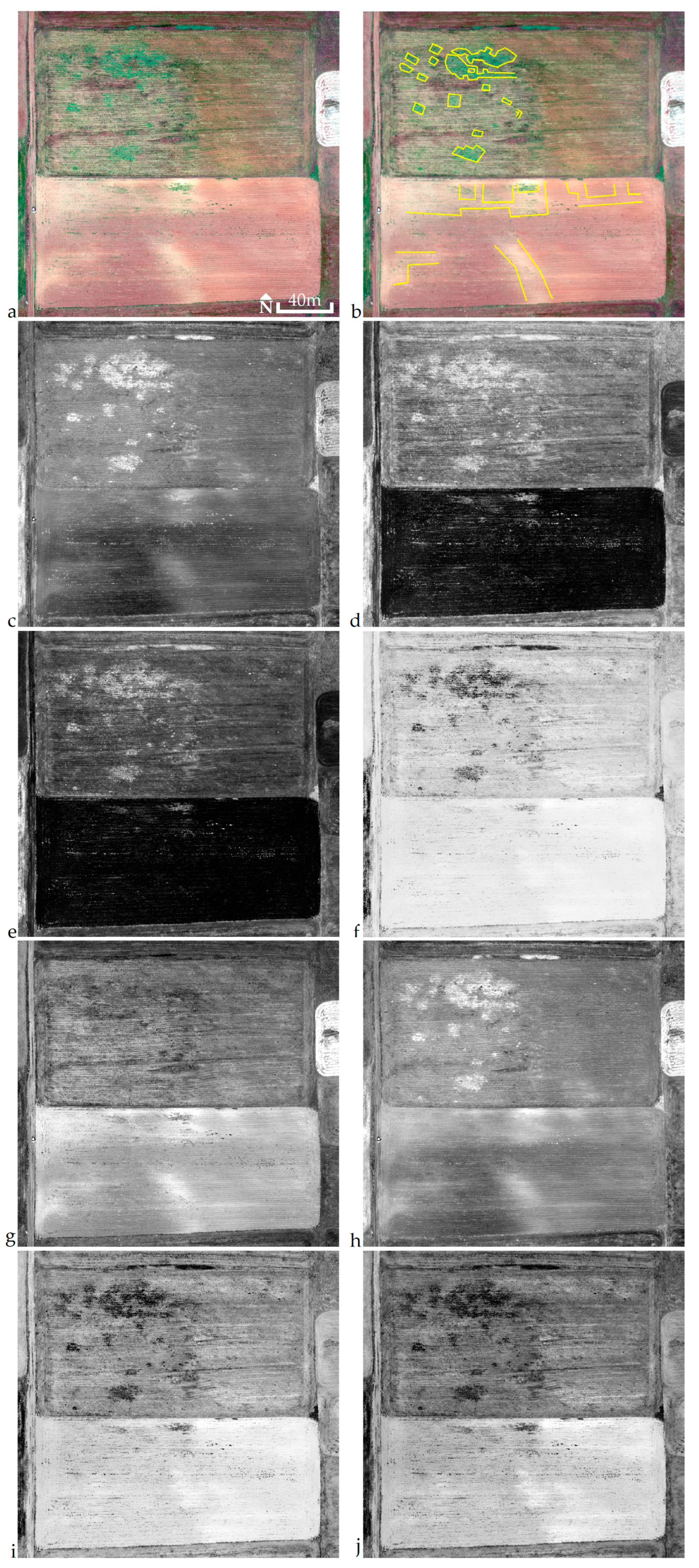 Aerial Remote Sensing Archaeology—A Short Review and Applications Aerial Remote Sensing Archaeology—A Short Review and Applications