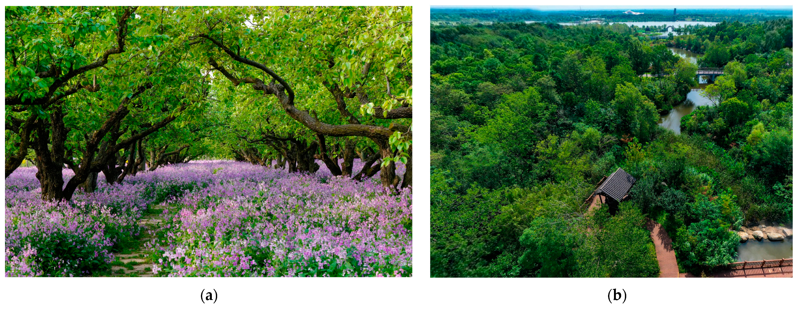 Land 13 01341 g002a Land 13 01341 g002a