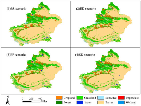 Spatio-Temporal Evolution and Multi-Scenario Modeling Based