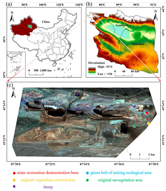 Effects of Soil Nutrient Restoration Aging and Vegetation Recovery 