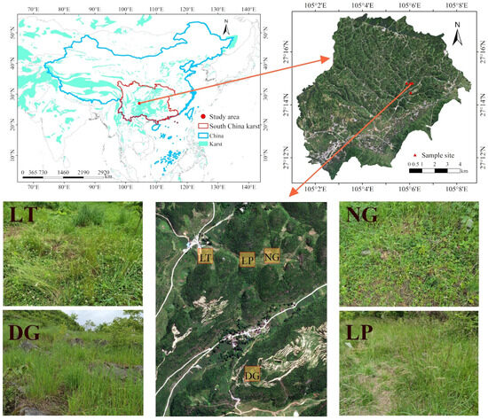 Vegetation Restoration Patterns Influence the Supply and Vegetation Restoration Patterns Influence the Supply and