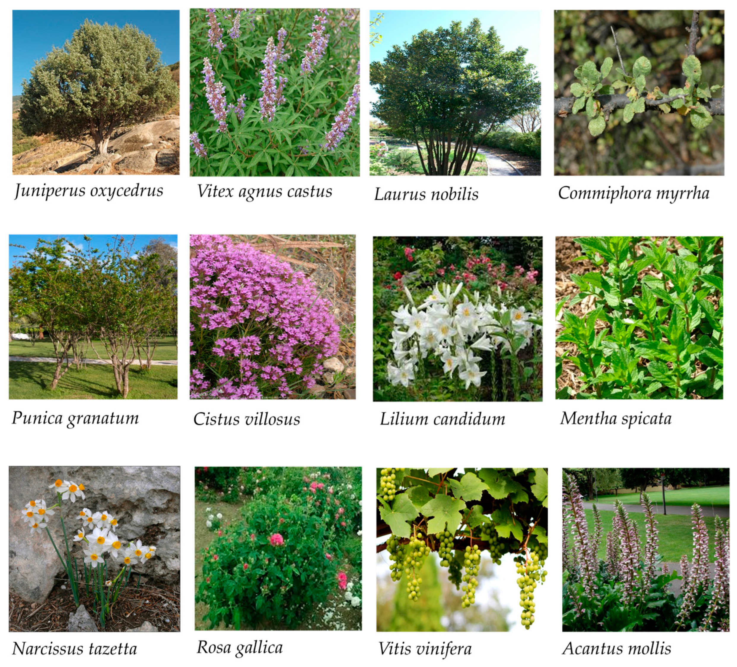 Land 13 02082 g015 Land 13 02082 g015