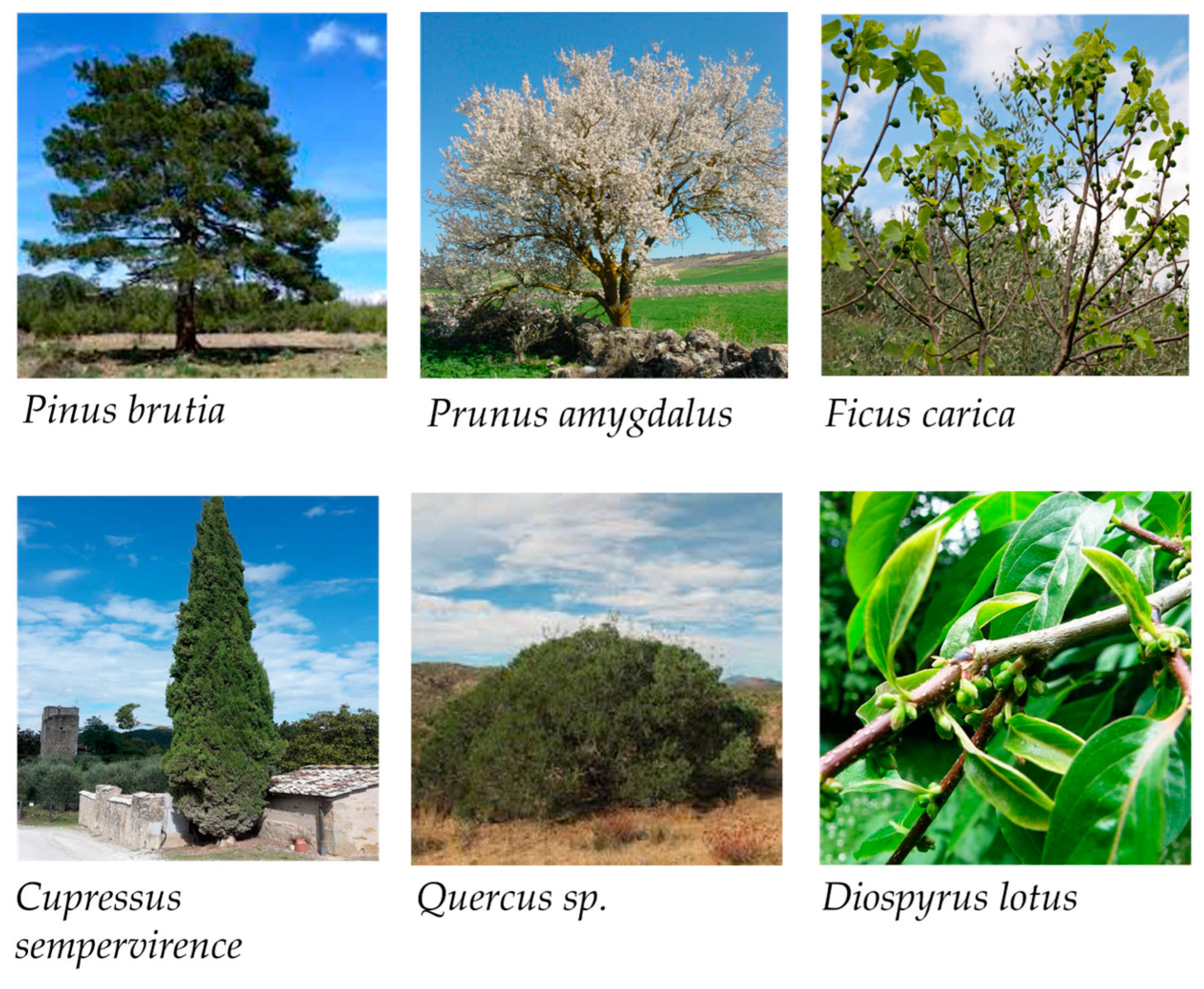 Land 13 02082 g018 Land 13 02082 g018