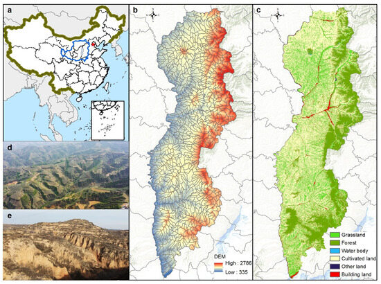 Unveiling Differentiation Characteristics of Vegetation 