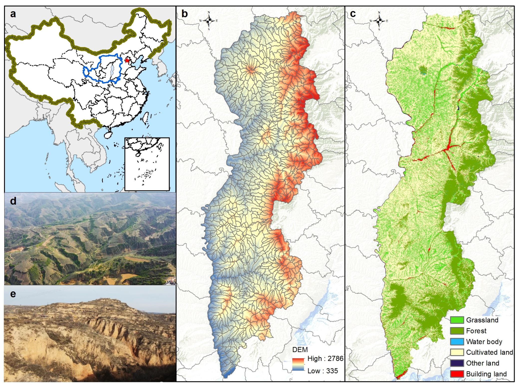 Unveiling Differentiation Characteristics of Vegetation