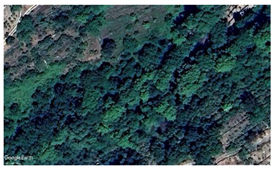 Land 14 00262 i011