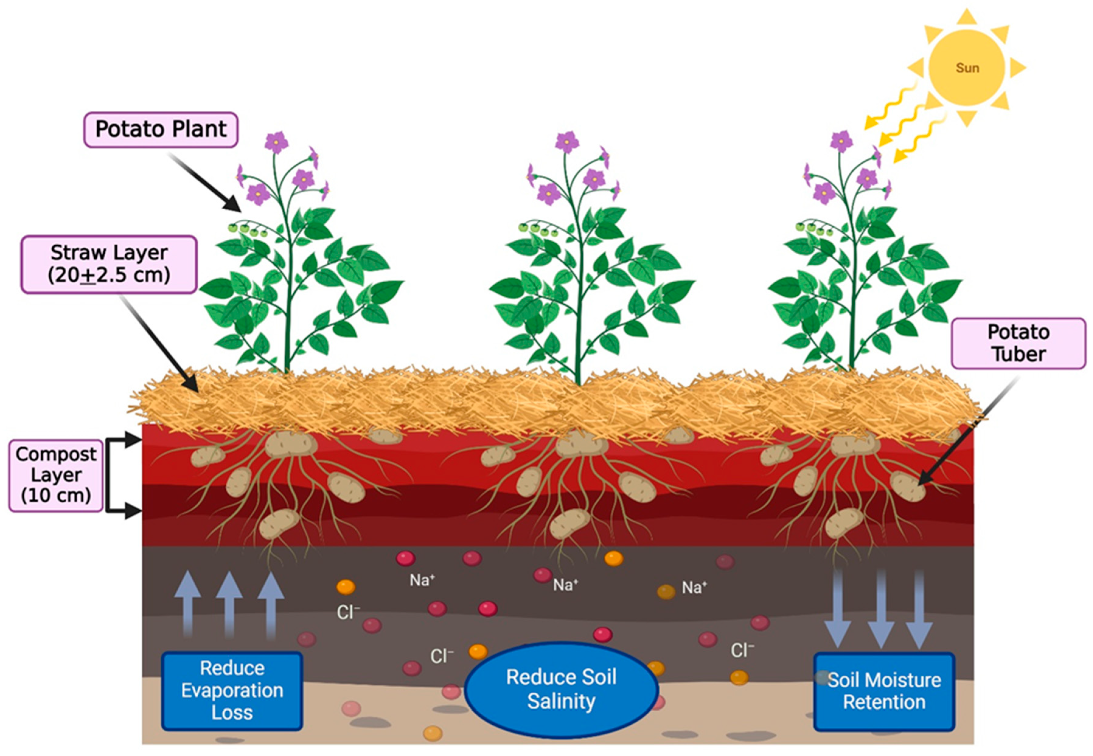 Land 14 00563 g001 Land 14 00563 g001
