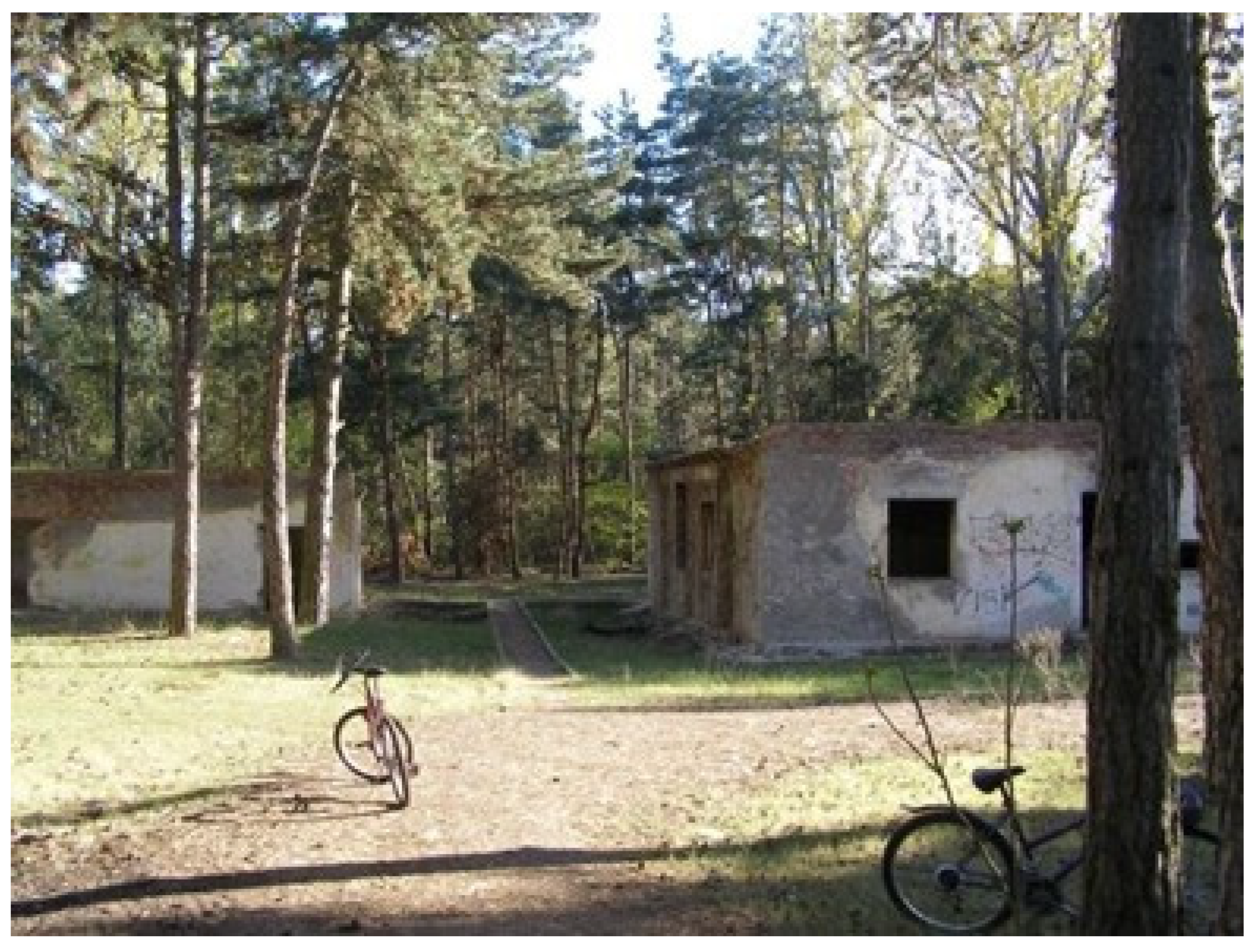 Land 14 00596 g003 Land 14 00596 g003