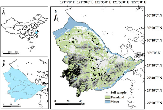 【H】 PSA NM-MT 8 1990 Topps Junior Seau Rookie Card Chargers