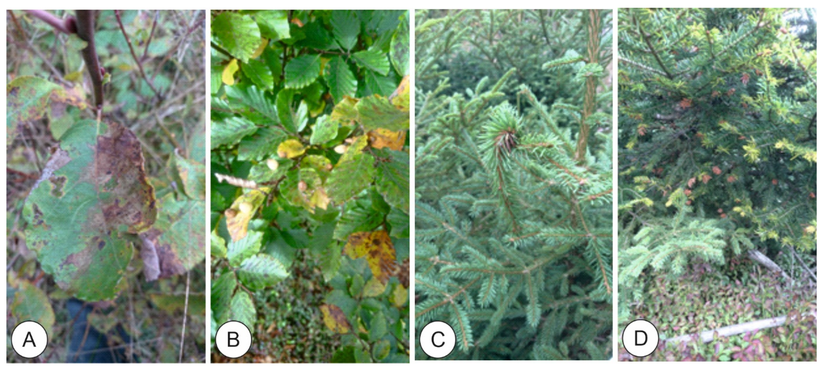 Land 14 00766 g010 Land 14 00766 g010