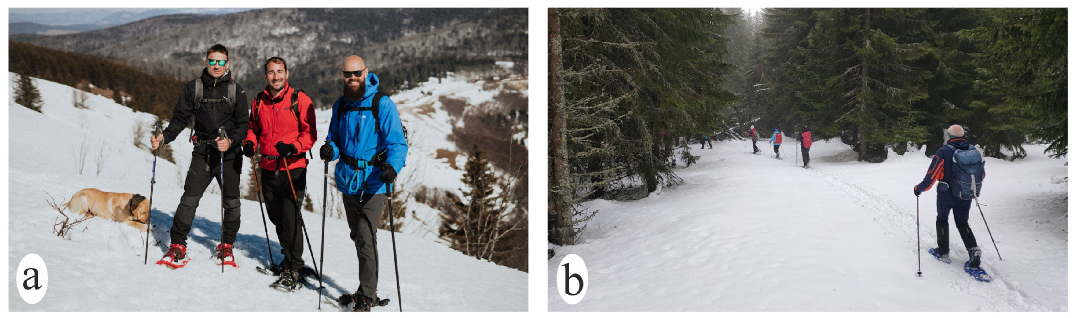 Land 14 00835 g010 Land 14 00835 g010