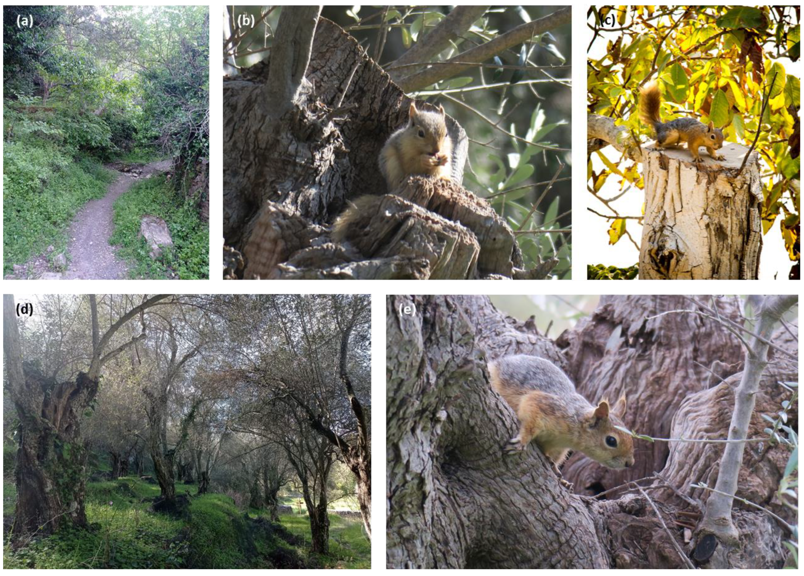 Land 14 00876 g002 Land 14 00876 g002