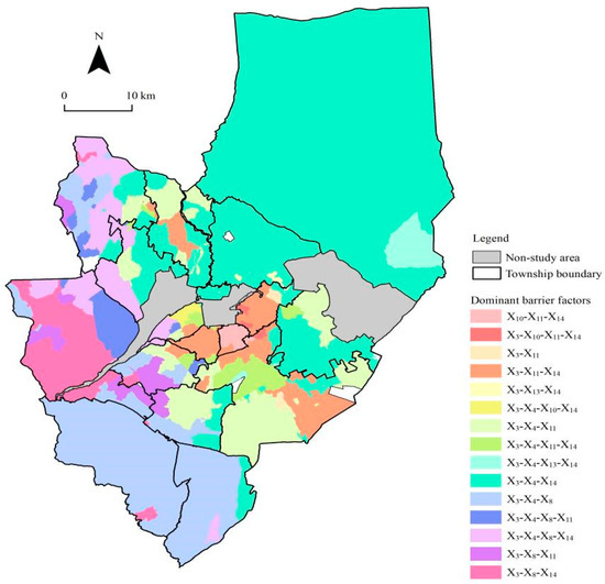 Rural Resilience Evaluation and Risk Governance in the