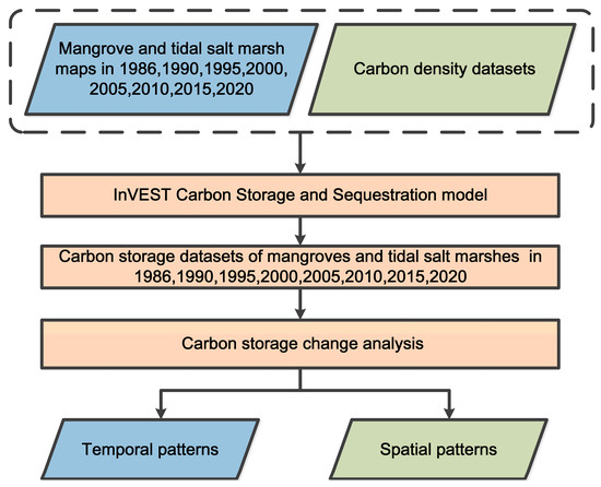 Temporal and Spatial Patterns of Blue Carbon Storage in Mangrove and ...