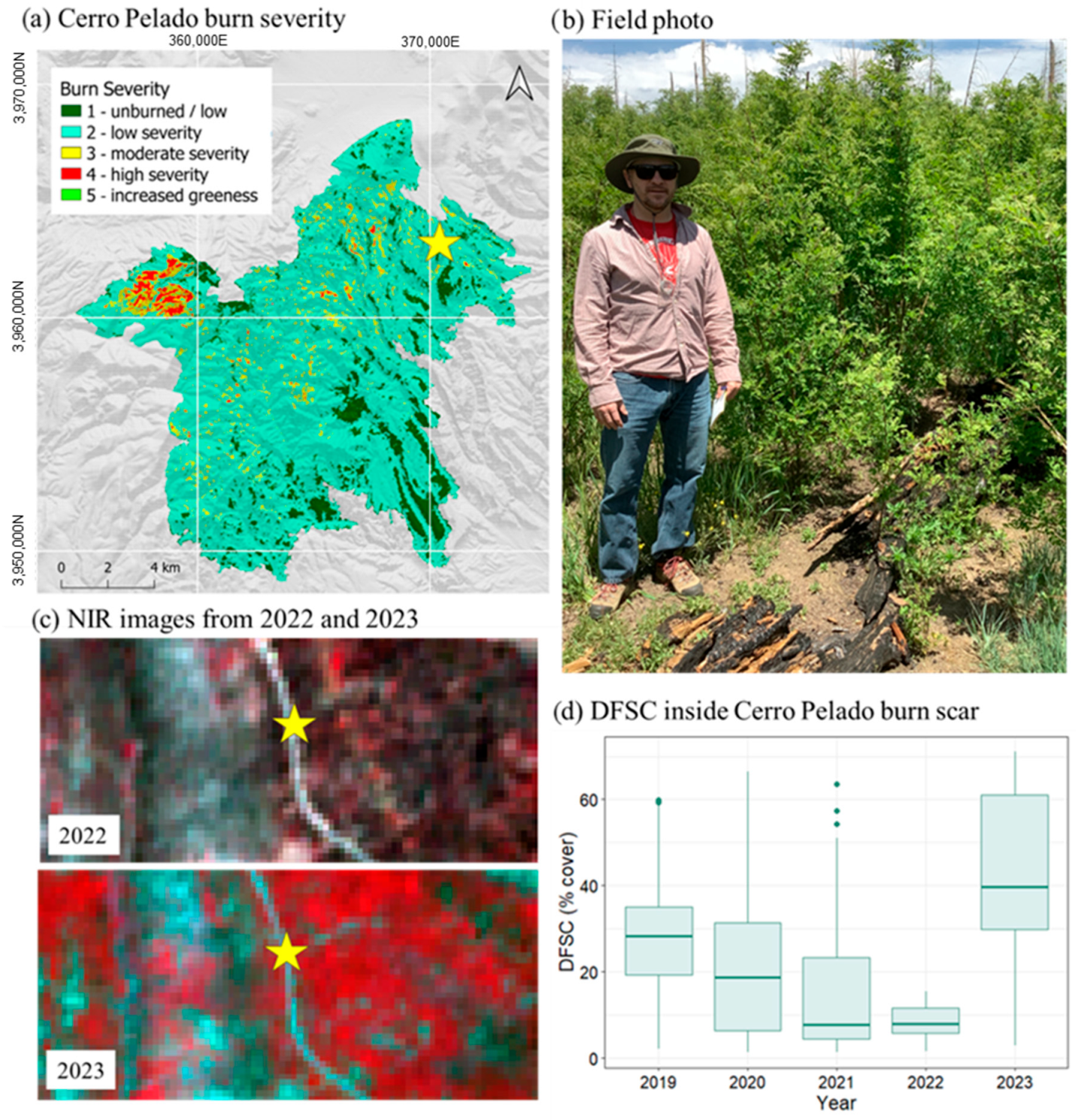 Land 14 01603 g007 Land 14 01603 g007