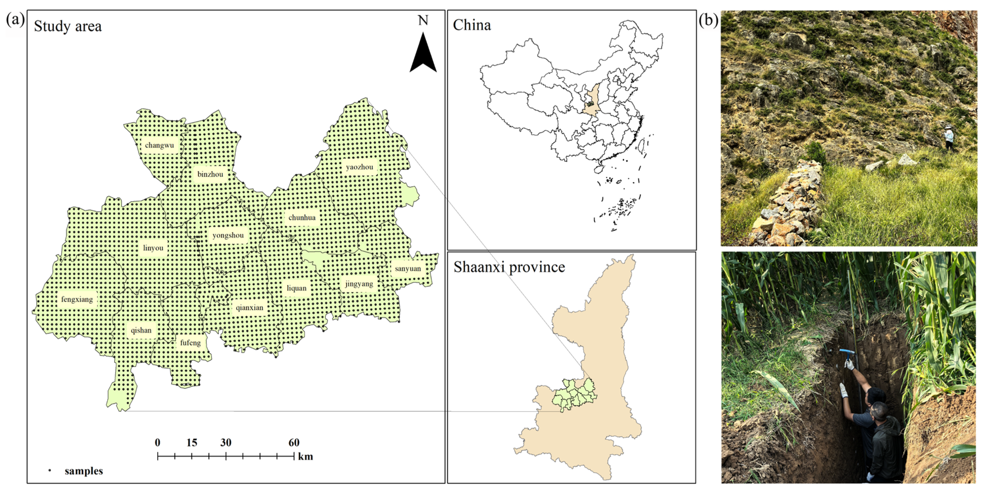 Land 14 01609 g001 Land 14 01609 g001