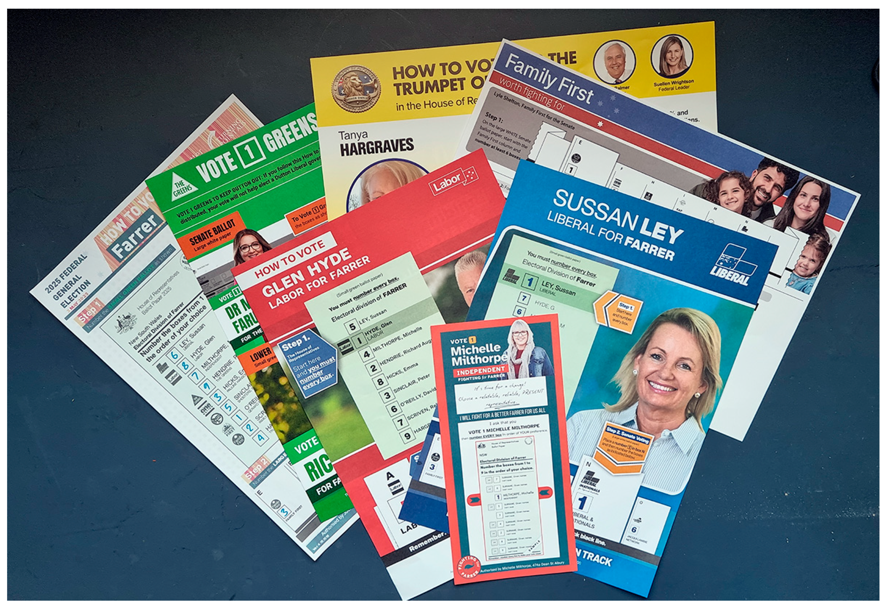 Land 14 01610 g004 Land 14 01610 g004