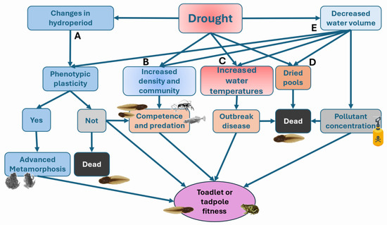 https://www.mdpi.com/land/land-14-01668/article_deploy/html/images/land-14-01668-g003-550.jpg