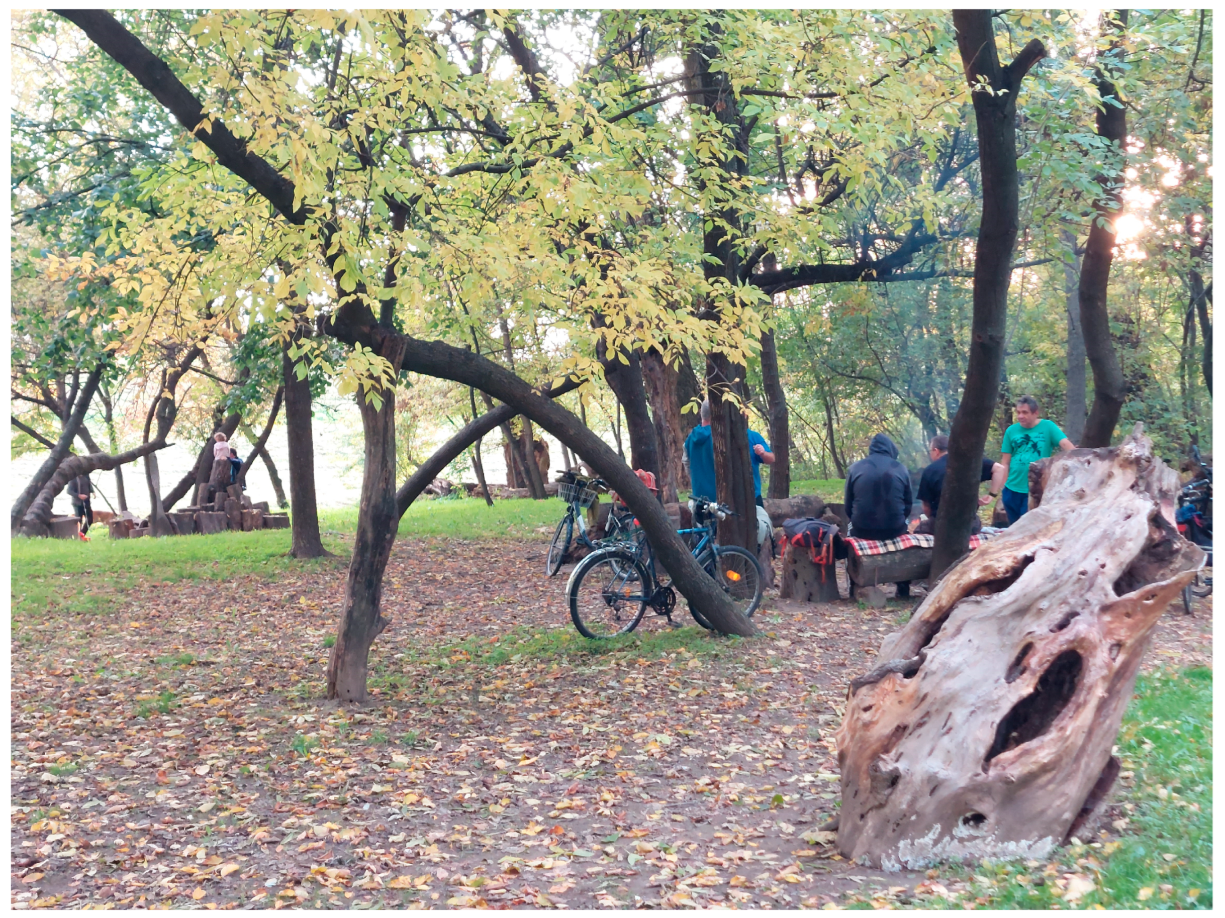 Land 14 01701 g008 Land 14 01701 g008