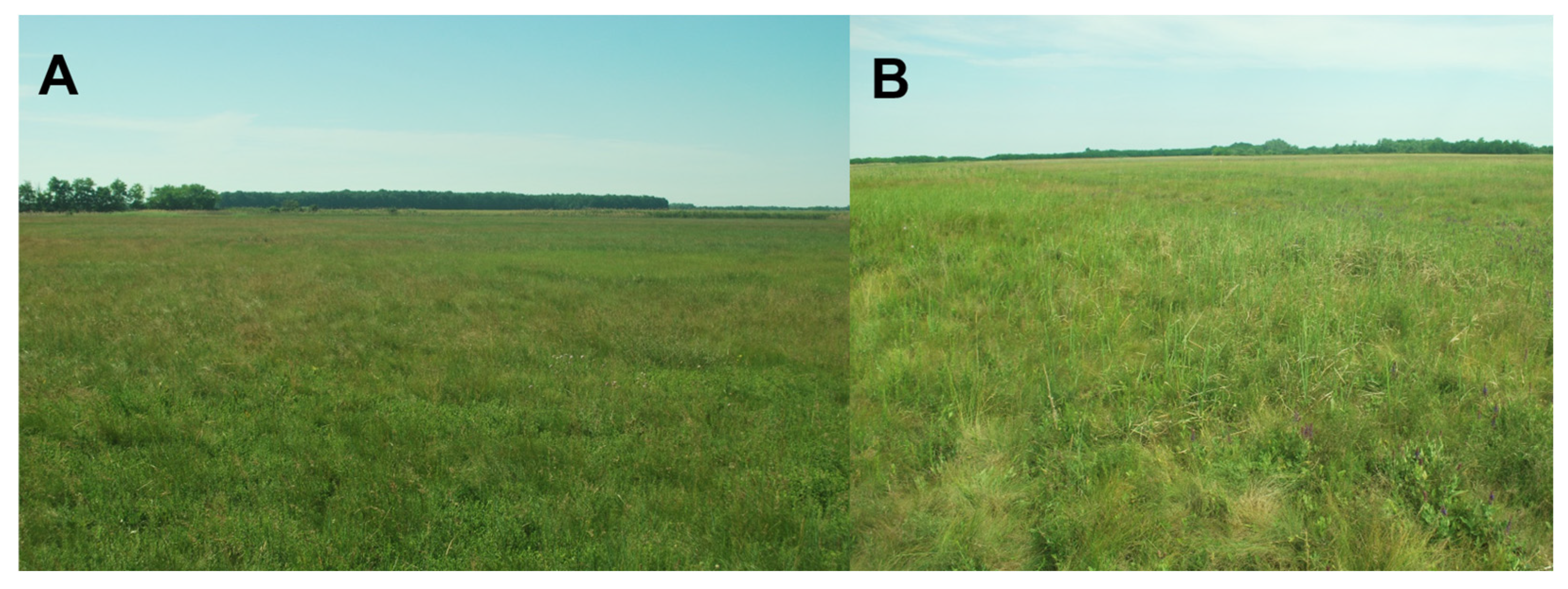 Land 14 01736 g0a2 Land 14 01736 g0a2