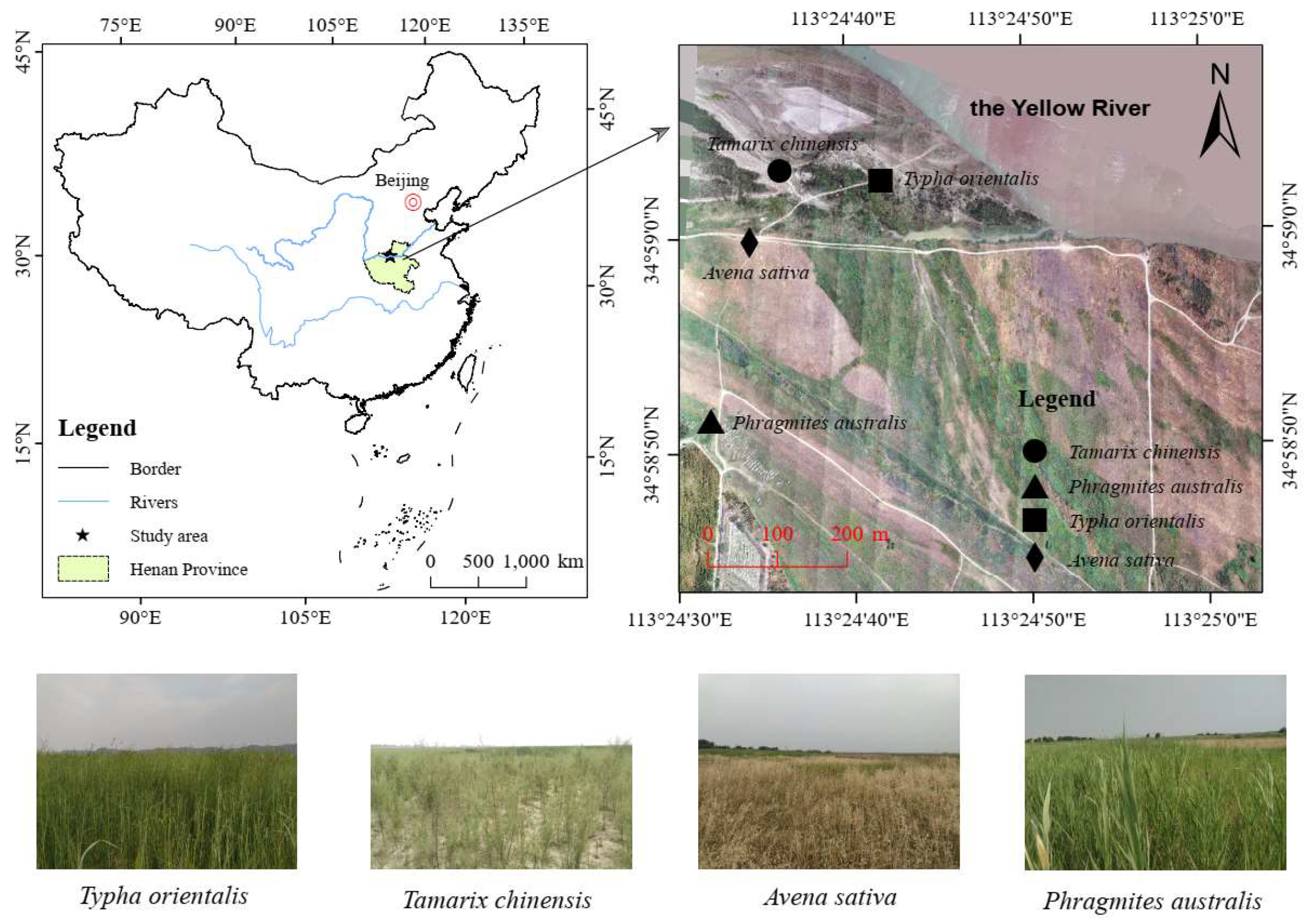 Land 14 01785 g001 Land 14 01785 g001