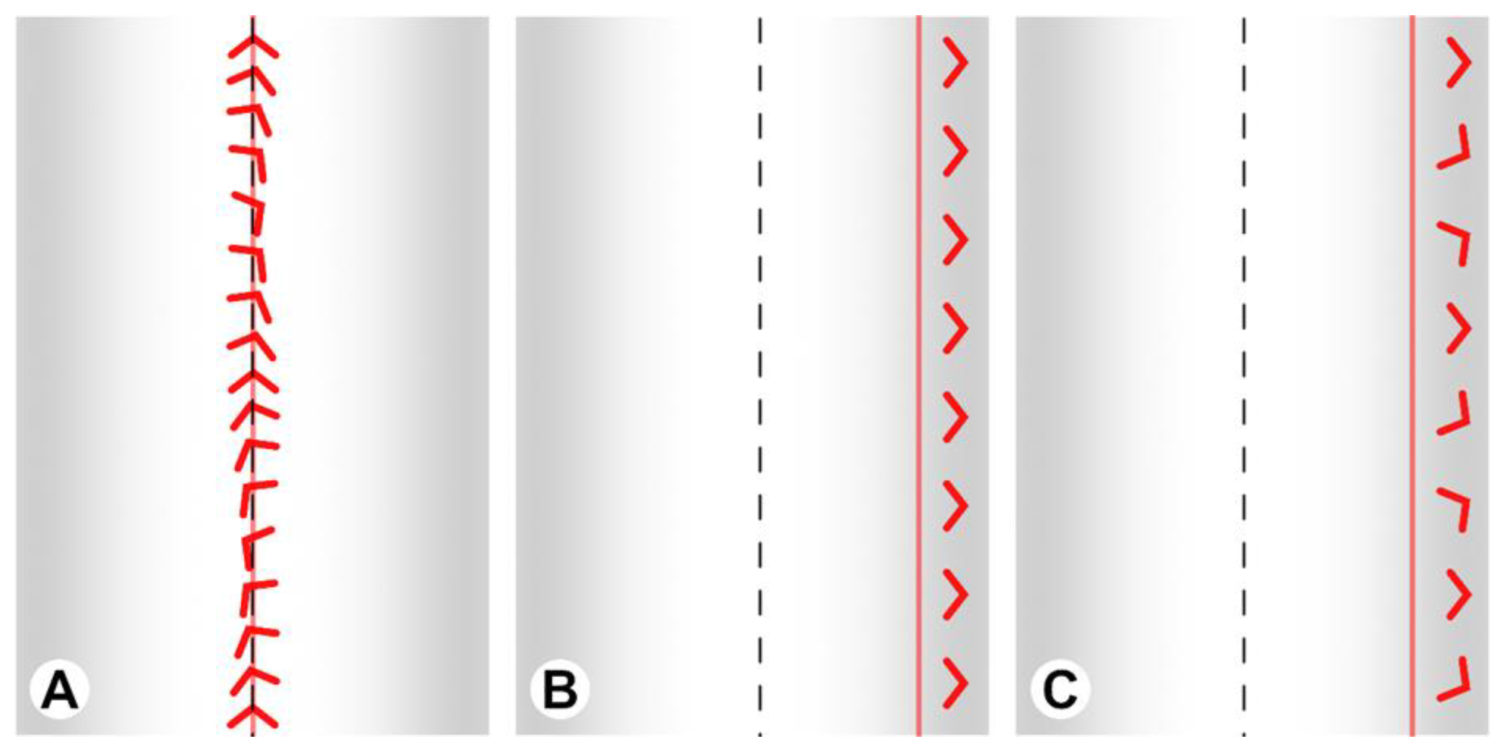 Land 14 01790 g007 Land 14 01790 g007