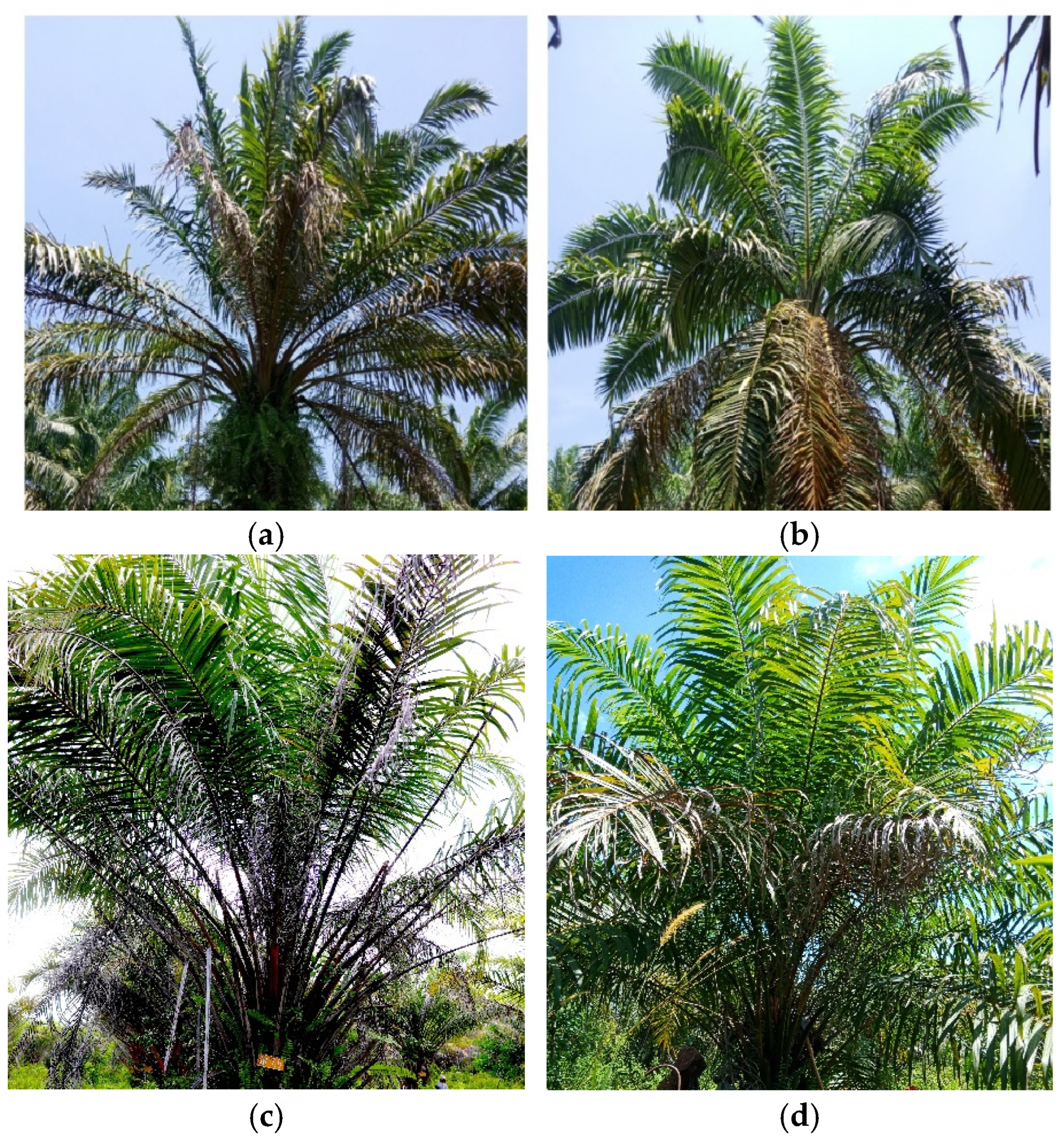 Land 14 01823 g005 Land 14 01823 g005