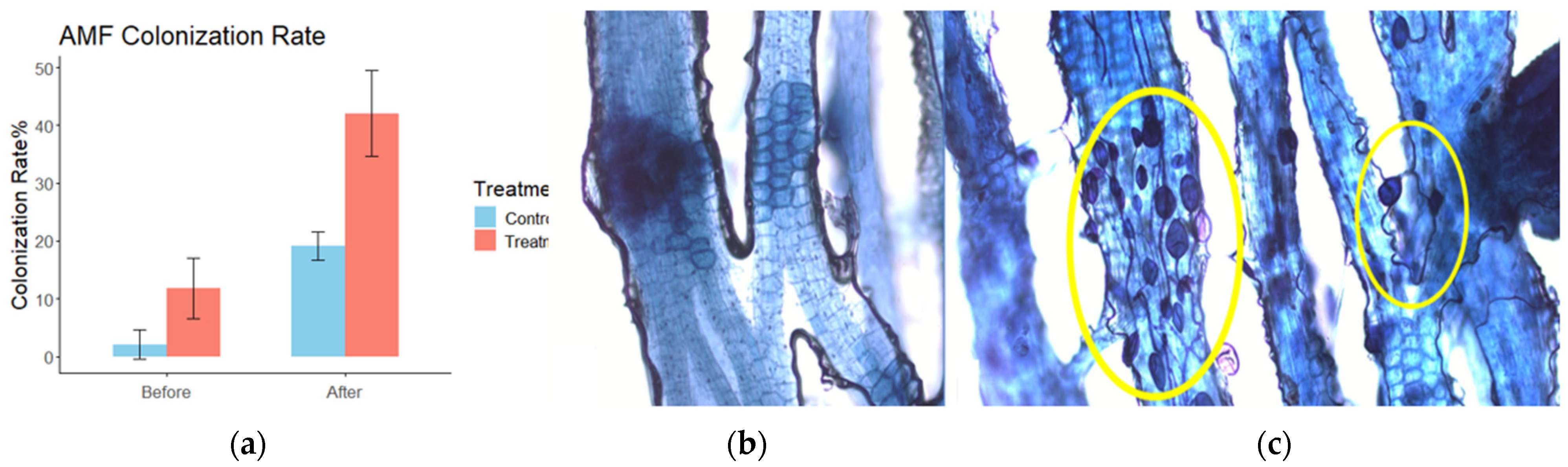 Land 14 01823 g008 Land 14 01823 g008