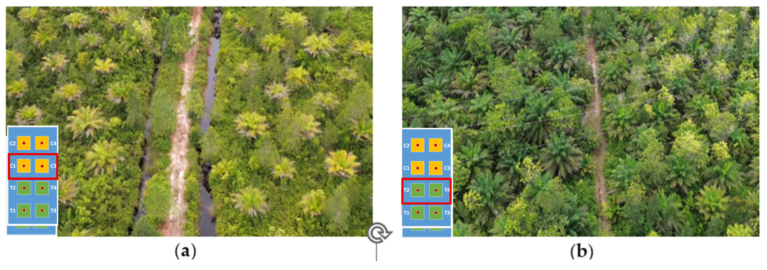 Land 14 01823 g014 Land 14 01823 g014