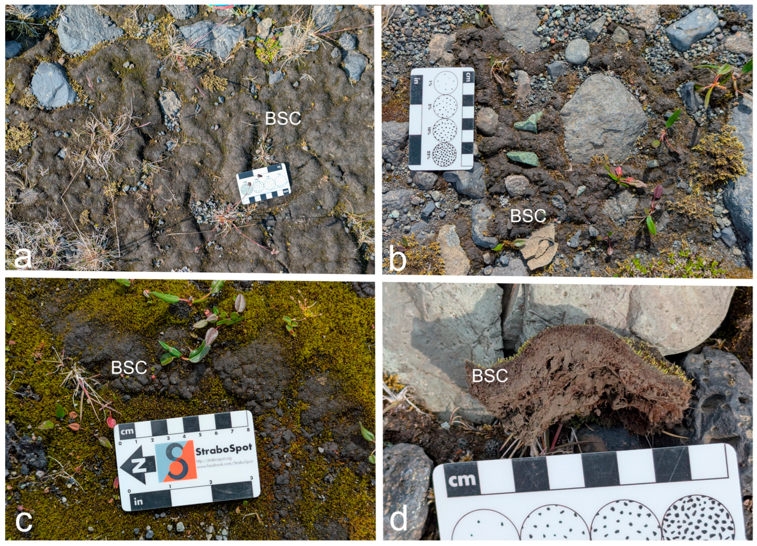 Land 14 01827 g002 Land 14 01827 g002