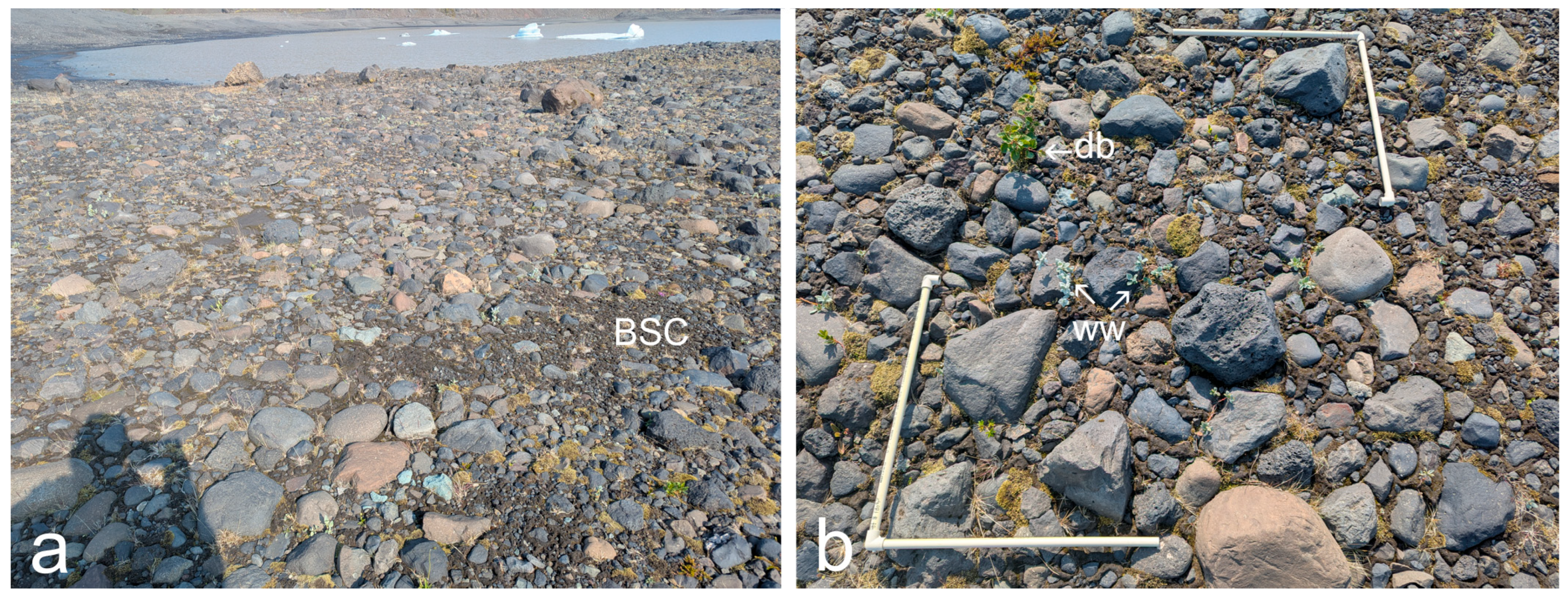 Land 14 01827 g003 Land 14 01827 g003