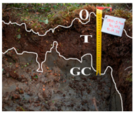 Land 14 01839 i001 Land 14 01839 i001