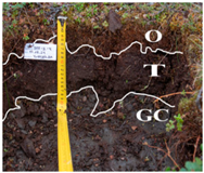 Land 14 01839 i002 Land 14 01839 i002