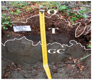 Land 14 01839 i003 Land 14 01839 i003