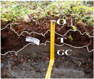 Land 14 01839 i004 Land 14 01839 i004