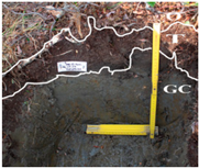 Land 14 01839 i005 Land 14 01839 i005