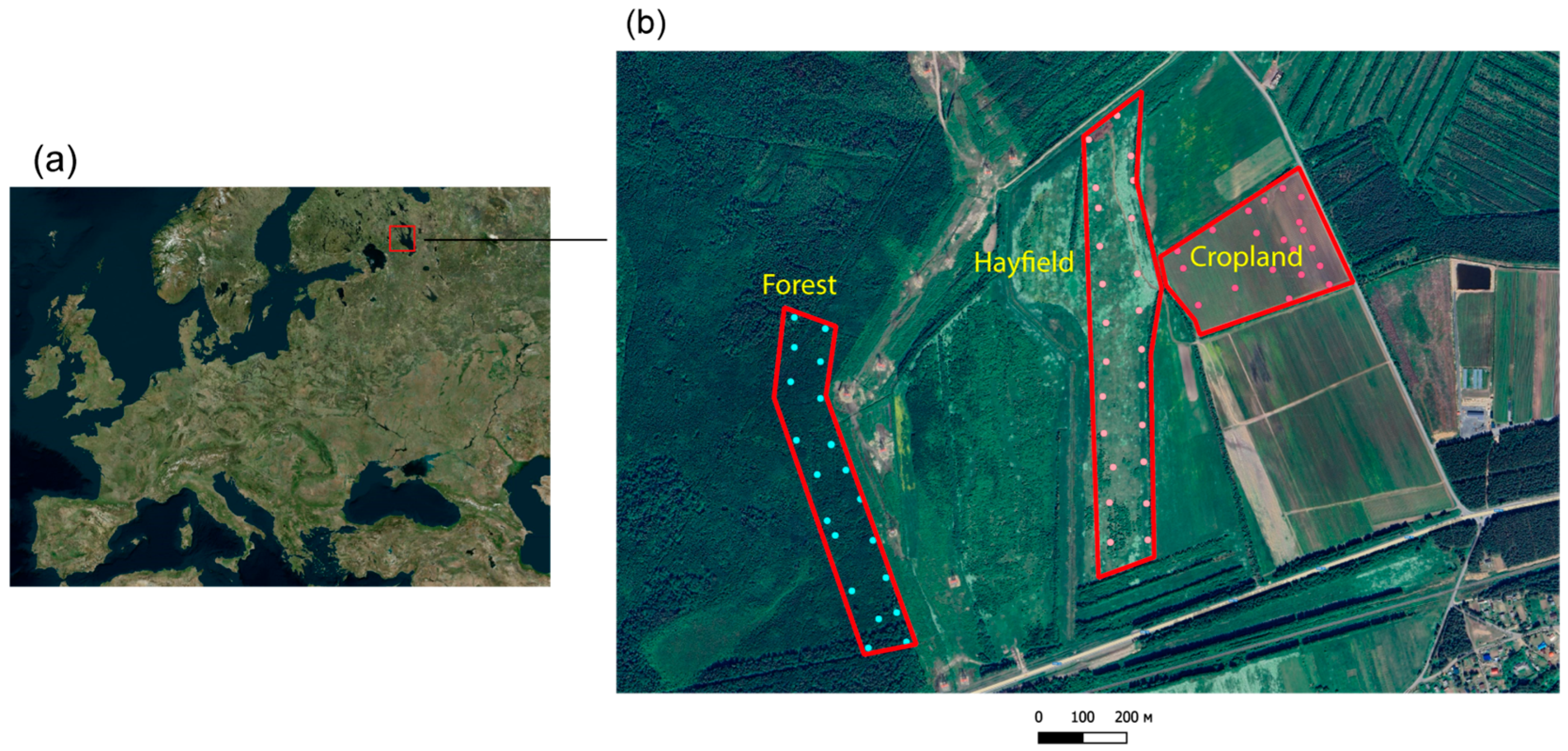 Land 14 01881 g001 Land 14 01881 g001