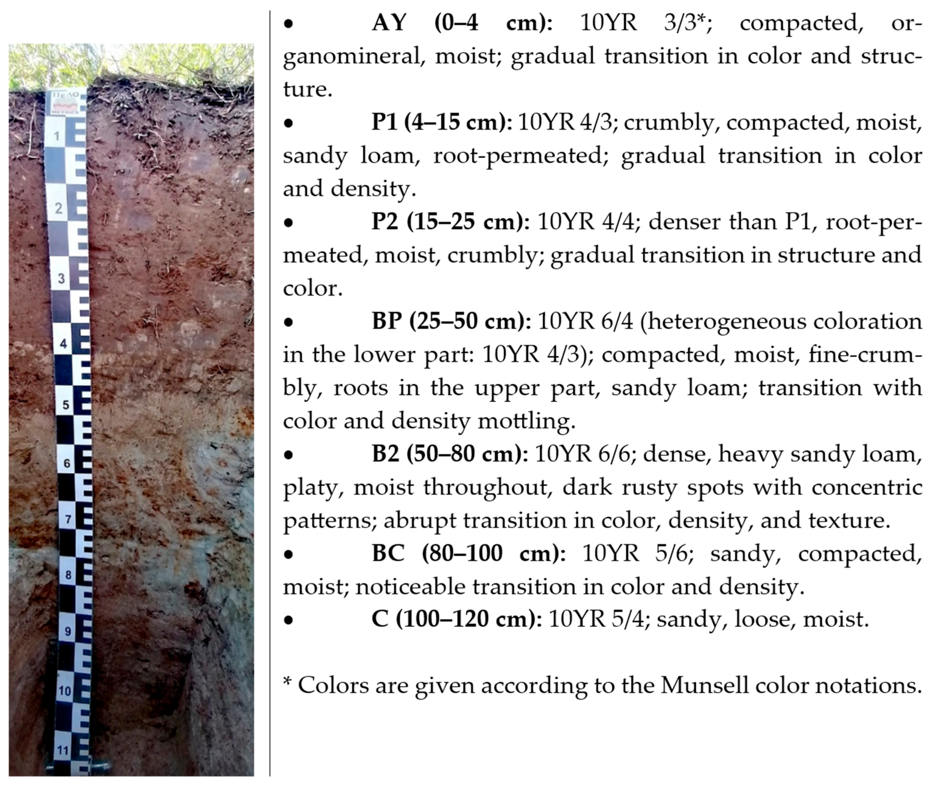 Land 14 01881 g002 Land 14 01881 g002