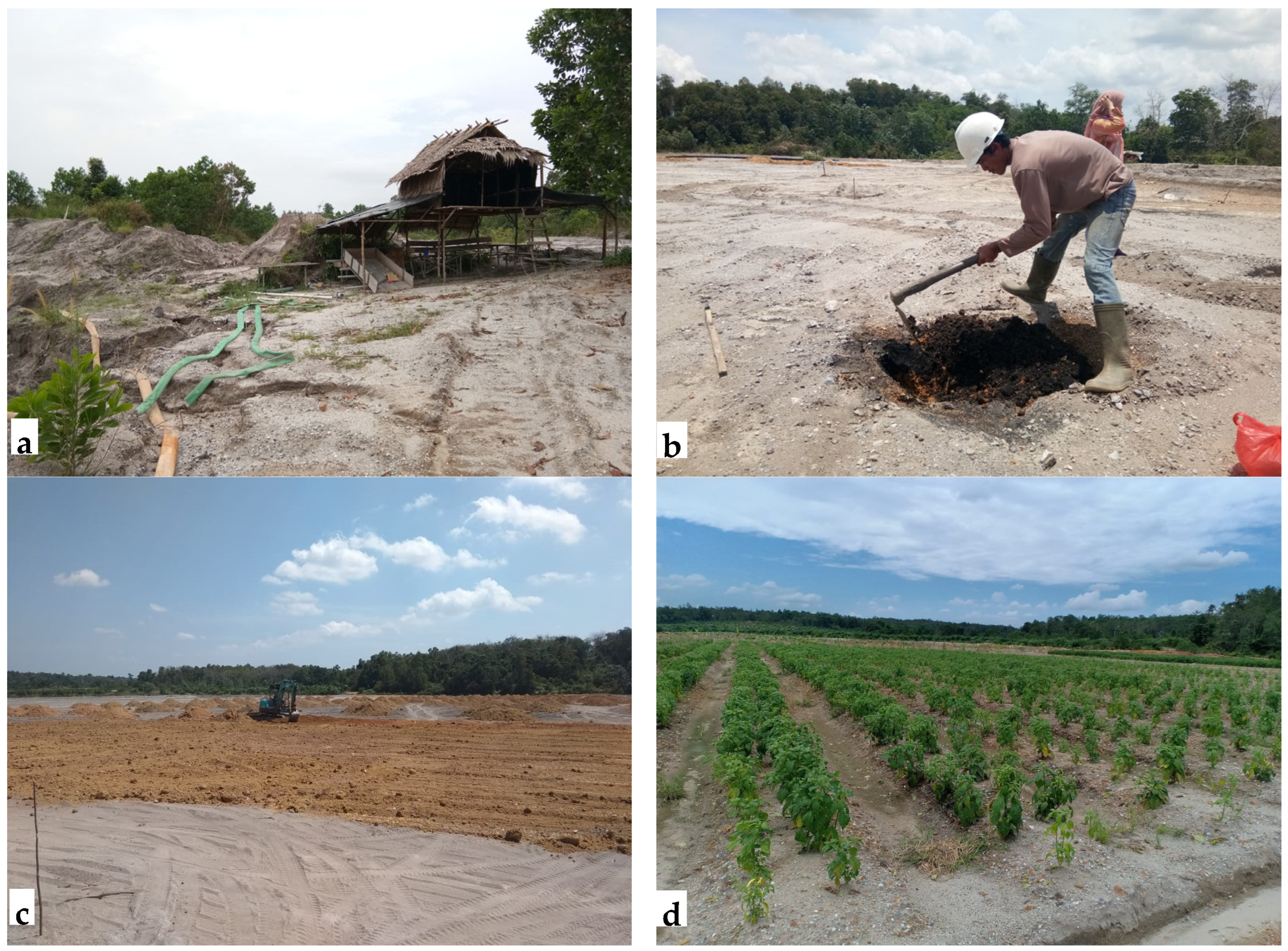 Land 14 01947 g007 Land 14 01947 g007