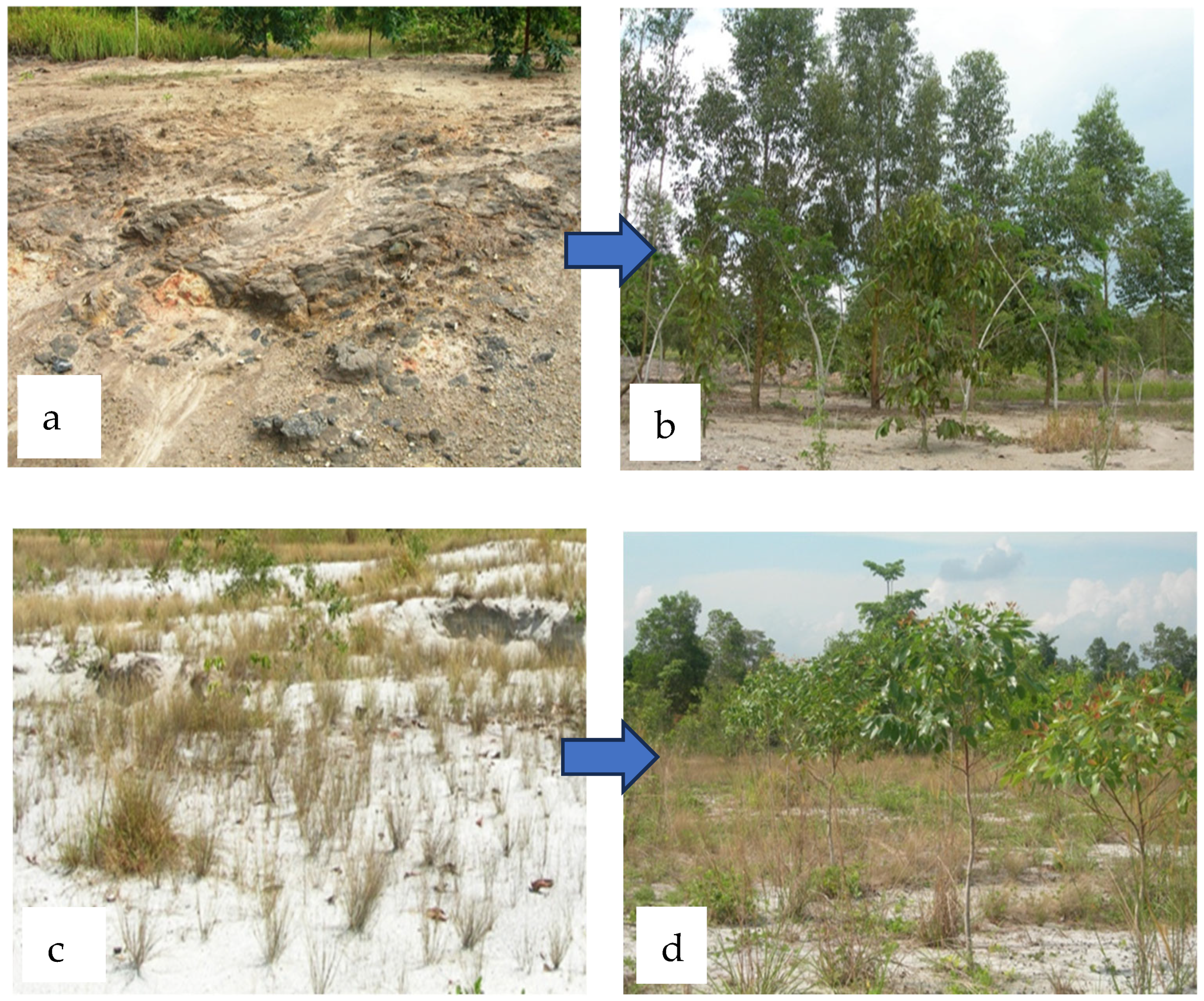 Land 14 01947 g008 Land 14 01947 g008