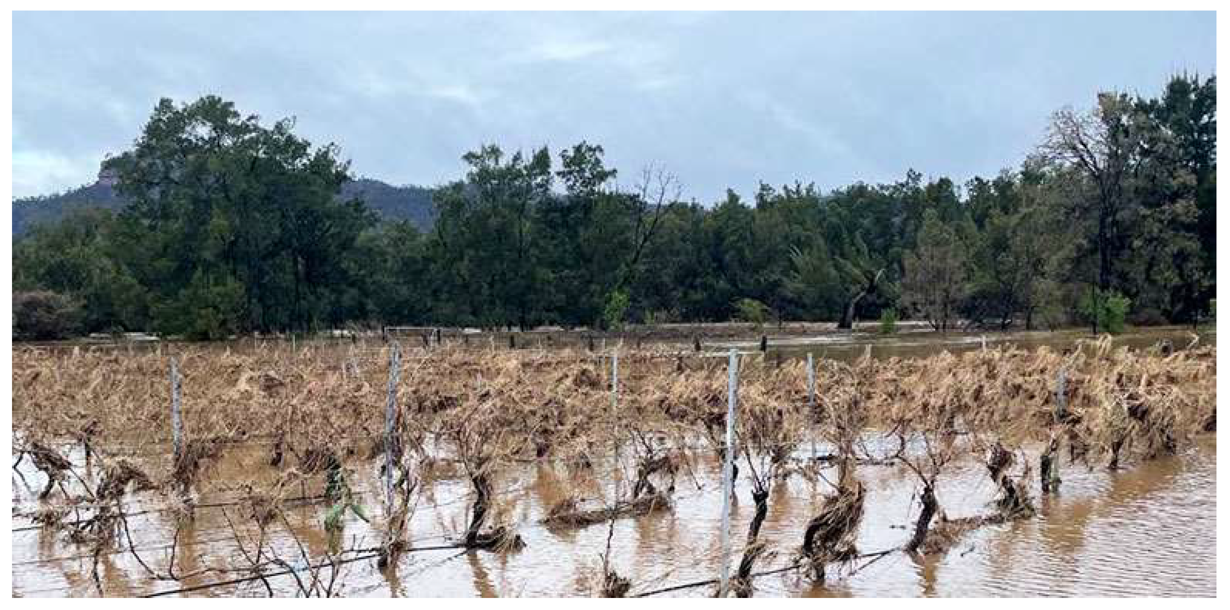 Land 14 02023 g002 Land 14 02023 g002