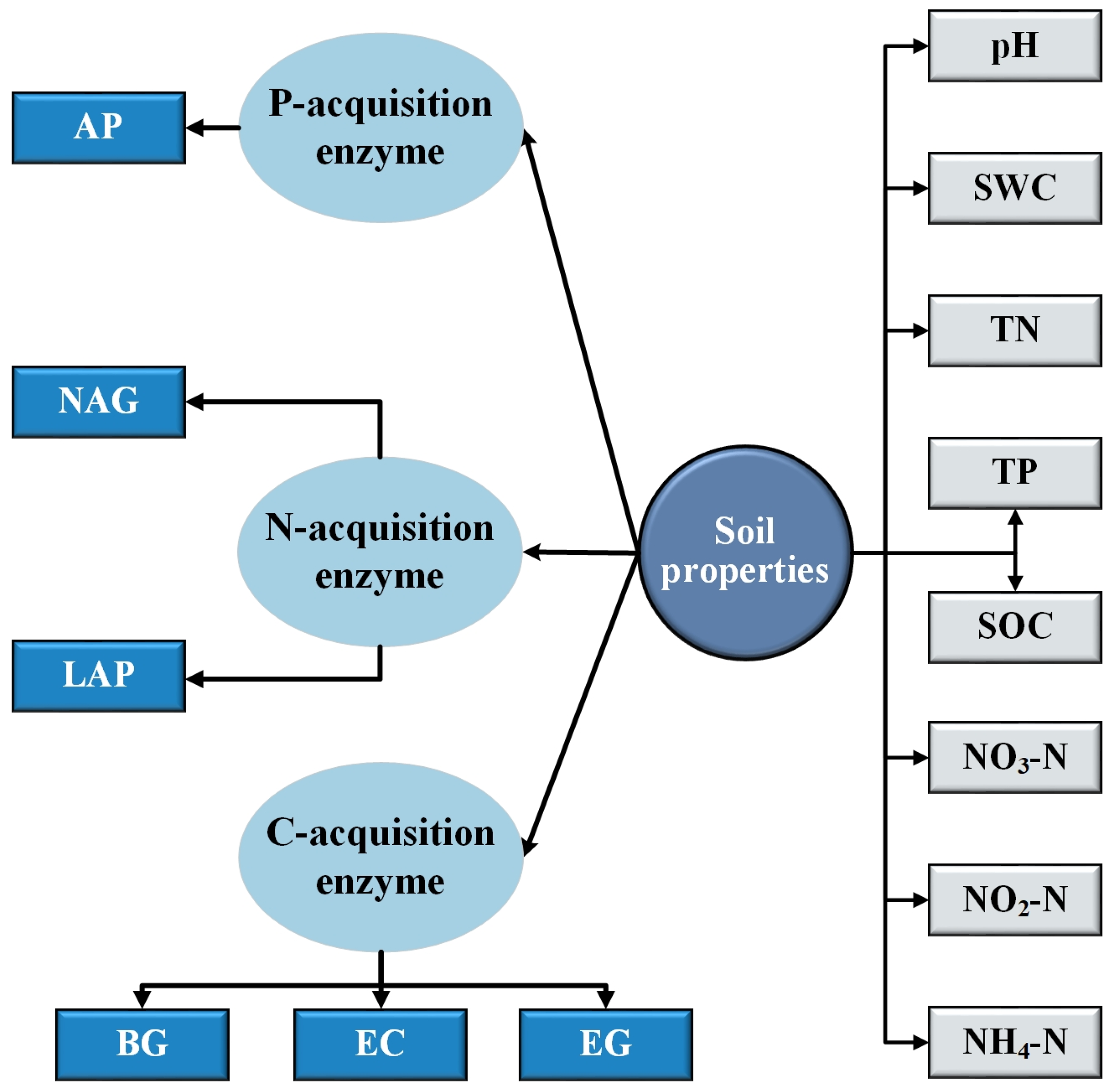 Land 14 02056 g002 Land 14 02056 g002