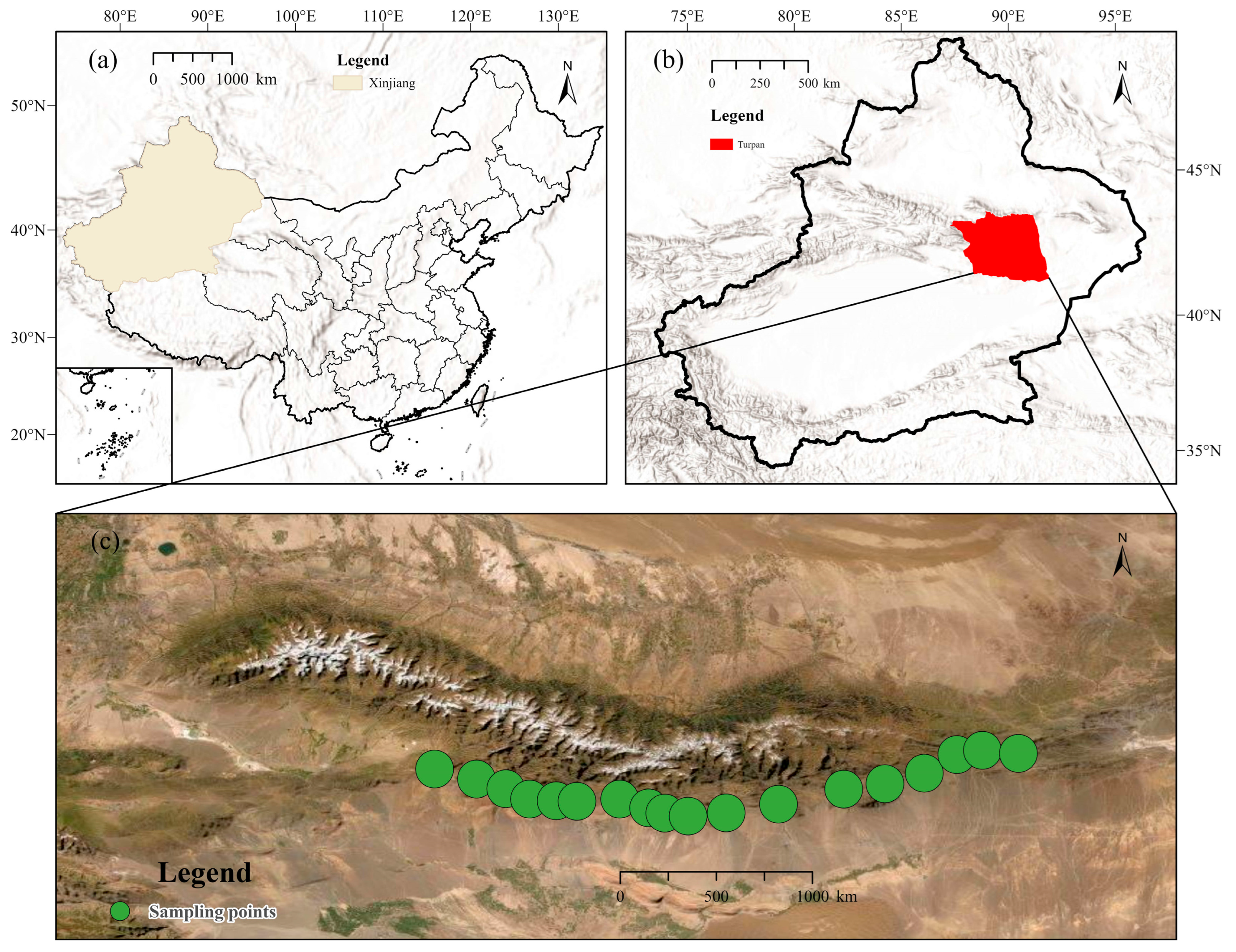 Land 14 02131 g001 Land 14 02131 g001