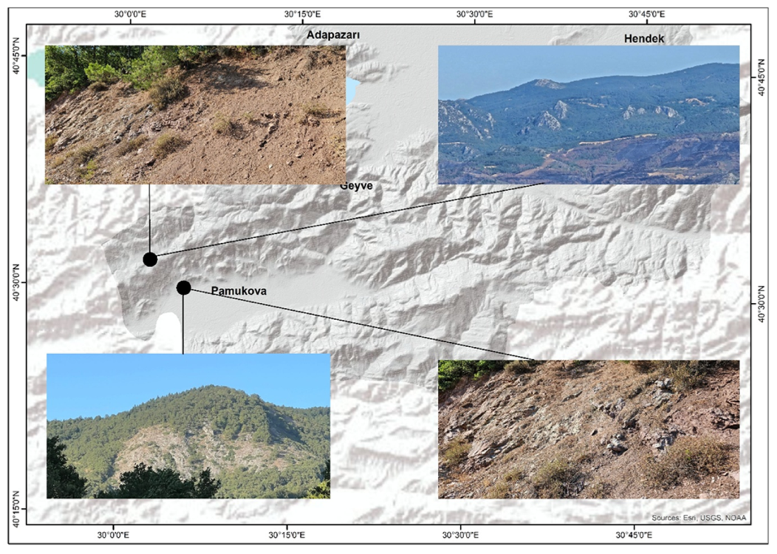 Land 14 02153 g007 Land 14 02153 g007