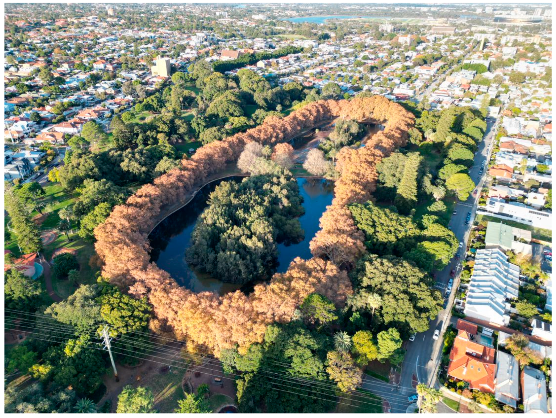 Land 14 02172 g001 Land 14 02172 g001