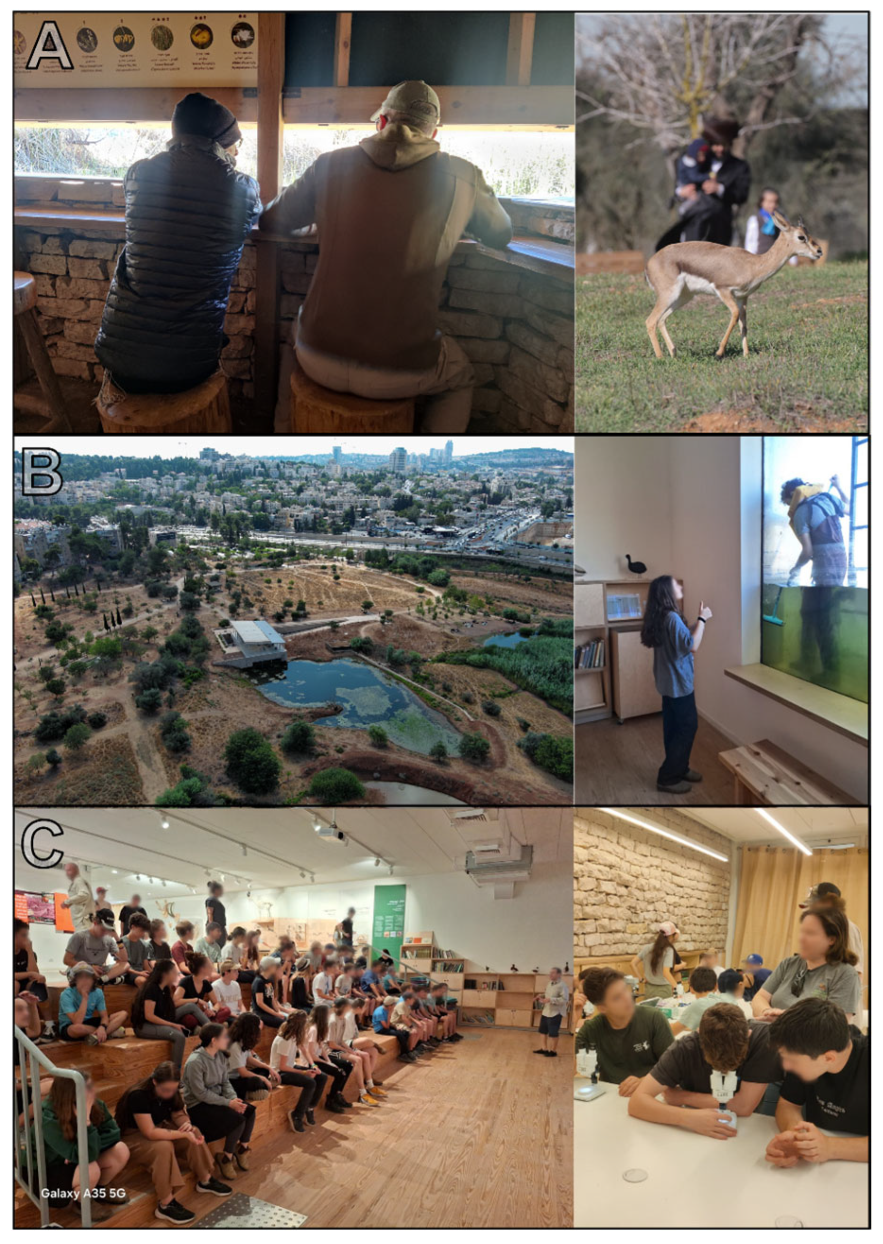 Land 14 02174 g014 Land 14 02174 g014