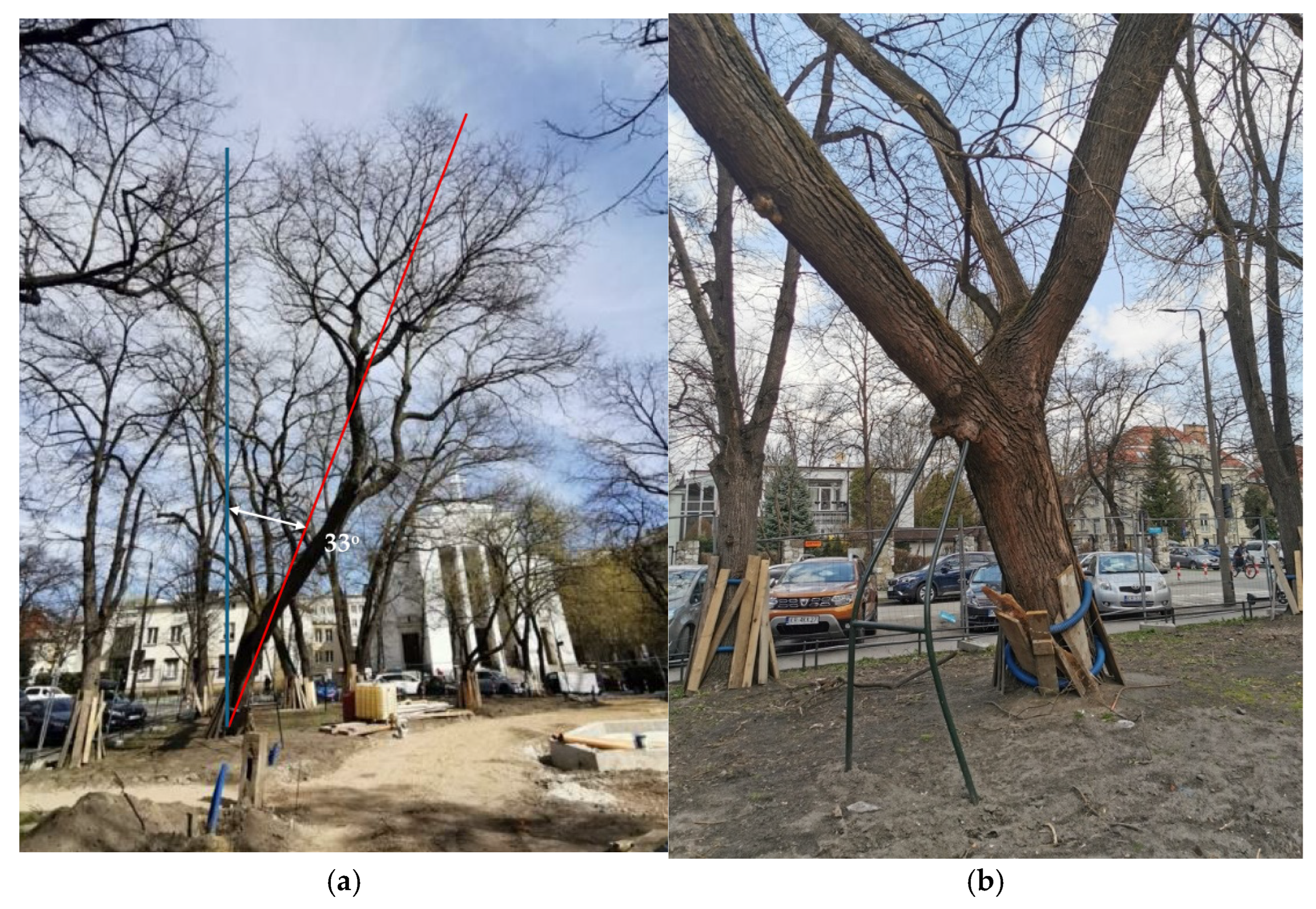 Land 14 02200 g002 Land 14 02200 g002